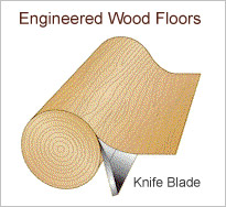 Engineered Hardwood Floors